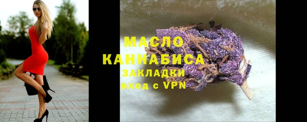 шишки Каменка