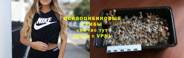 шишки Каменка