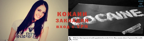 шишки Каменка
