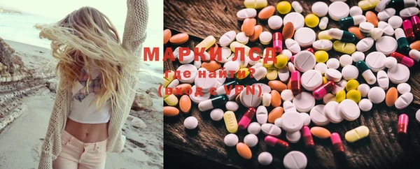 шишки Каменка