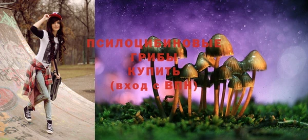 дурь Карпинск