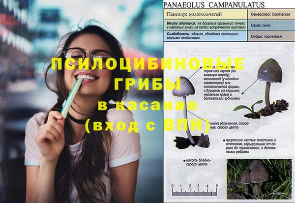 шишки Каменка