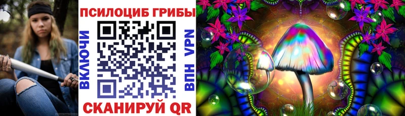 закладка  Костомукша  Галлюциногенные грибы прущие грибы 