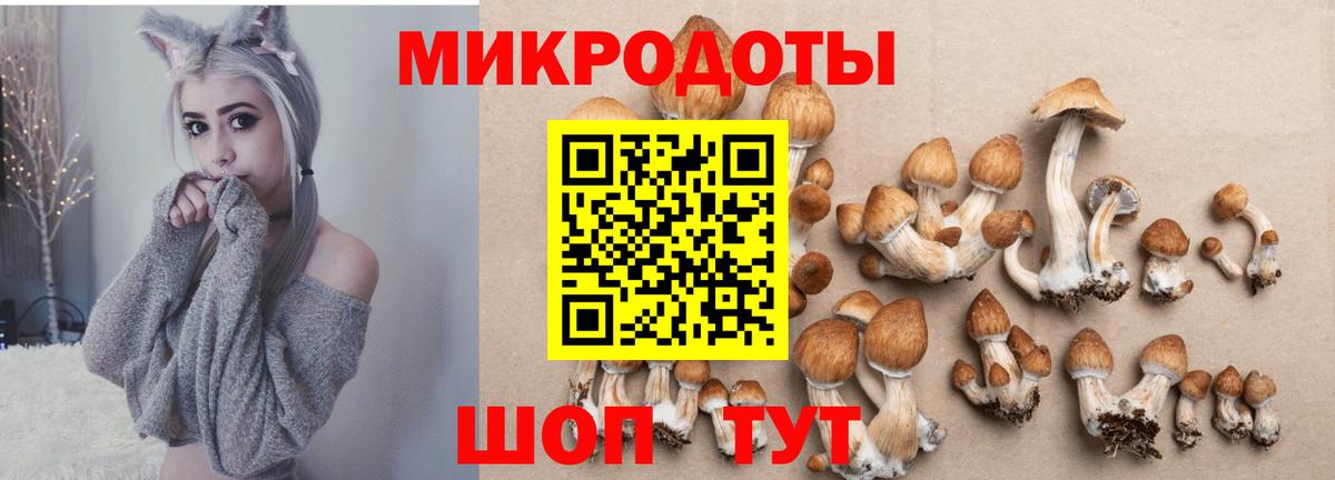 Костомукша  Псилоцибиновые грибы мухоморы  Вход с VPN 