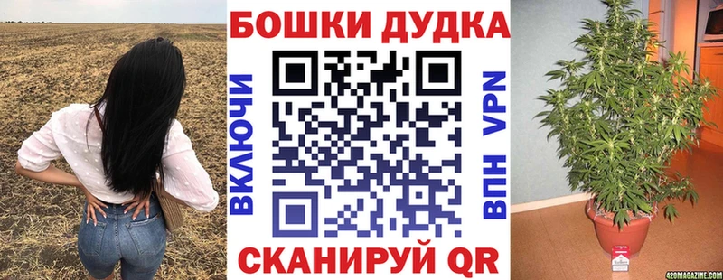 Бошки Шишки OG Kush  Костомукша 